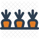 Carrots farming  Icon