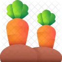 Carrots Food Healthy Icon
