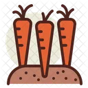 Carrots Icon