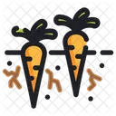 Carrots  Icon