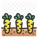 Carrots Carrot Farming Icon