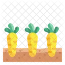 Carrots  Icon
