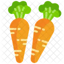 Carrots Vegetable Organic Icon