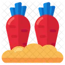 Carrots  Icon