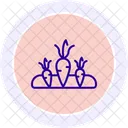 Carrots in soil  Icon