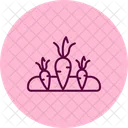 Carrots in soil  Icon