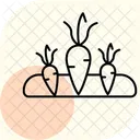 Carrots in soil  Icon
