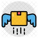 Carton Fast Package Fast Parcel Icon