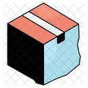 Carton Package Parcel Icon