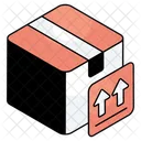 Carton Package Parcel Icon