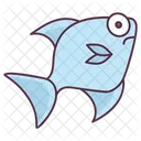 Cartoon Fish Icon