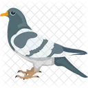 Cartoon Pigeon Feather Creature Fowl Icon