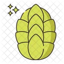 Caryophyllen Icon