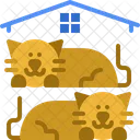 Casa de gato  Ícone