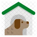 Casa Para Mascotas Mascota Internado Icono