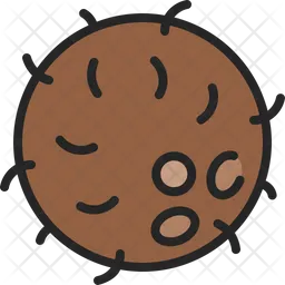 Cascara de coco  Icono