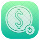 Cash Back Money Cash Icon