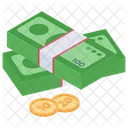 Money Asset Capital Icon