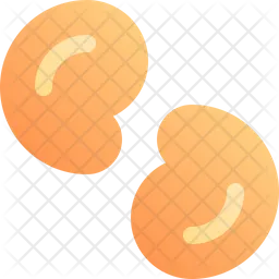 Cashew  Icon
