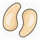 Cashew Nut Dry Icon