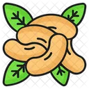 Cashew Nuts Food Icon