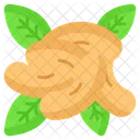 Cashew Nuts Food Symbol