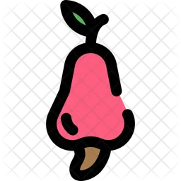 Cashew Apple  Icon