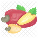 Cashew Apple  Icon