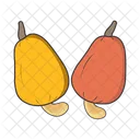 Cashew fruit  Icon
