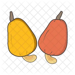 Cashew fruit  Icon