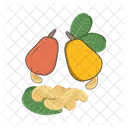 Cashew fruit  Icon