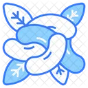 Cashew Nuts Food Icon