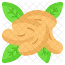 Cashew Nuts Food Icon