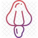 Cashew  Icon
