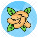 Cashew Nuts Food Icon