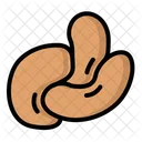 Cashew Nut Hazelnut Kacang Icon