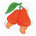 Cashew Nur Fruit Fresh Icon