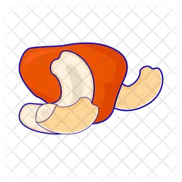 Cashew nuts  Icon