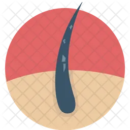 Caspa  Ícone