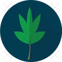 Cassava Leaves Vegetable Icon