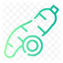 Cassava  Icon