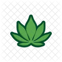 Cassava Leaves Green Tree Icon