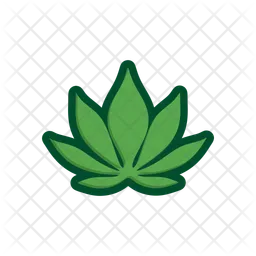 Cassava Leaves  Icon