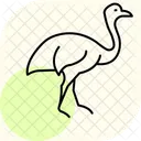 ヒクイドリ、鳥、危険 アイコン
