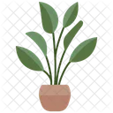 주철 식물 실내 식물 아이콘