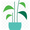 Cast Iron Plant Botanical Plant Green Plant Icon