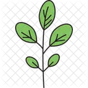 Cast Iron Plant  Icon