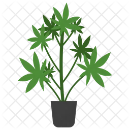Castor Potted Plant  Icon