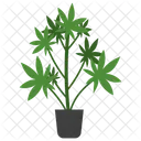 Indoor Plant Ornamental Plant Houseplant Decoration Icon