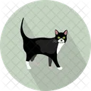 Cat Pet Felidae Icon